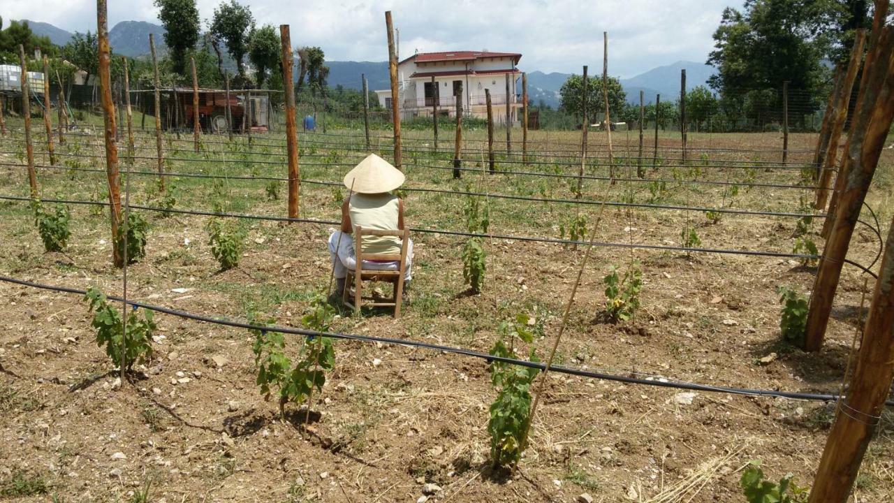 L'Arcadia Bed and Breakfast Giffoni Sei Casali Esterno foto